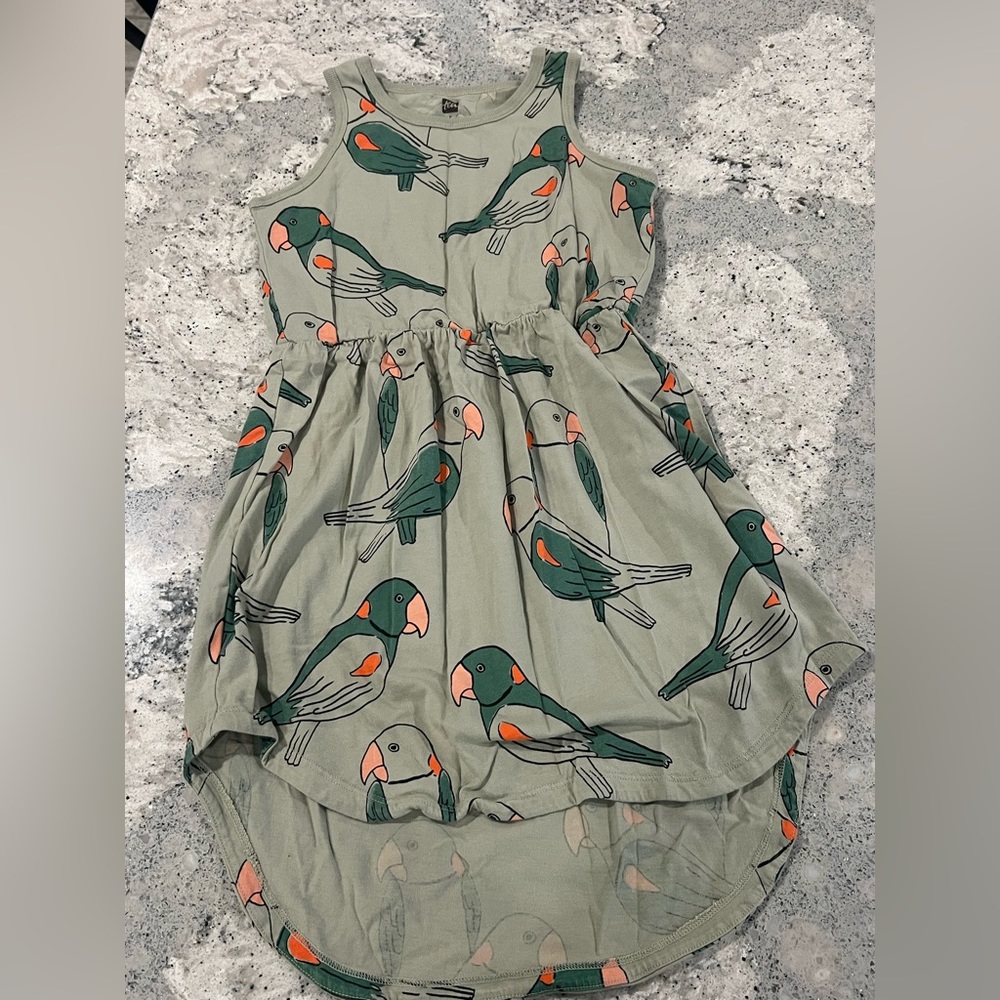 Tea Collection Dress - barely worn